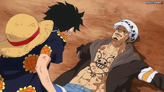 ワンピースアニメ ドレスローザ編 723話 トラファルガー・ロー トラ男 Trafalgar Law | ONE PIECE Episode 723