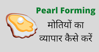 Pearl forming kaise kare