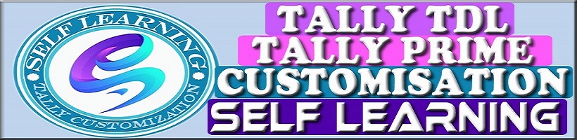 Self Learning Tally TDL