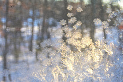 frosted single pane window in January