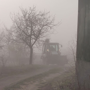 The digger arrives through the fog