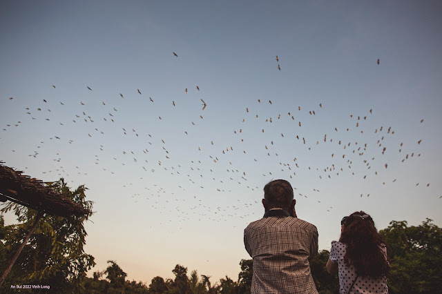 Bird watching in Mekong delta