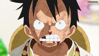 ワンピースアニメ WCI編 811話 ルフィ かっこいい Monkey D. Luffy  | ONE PIECE Episode 811