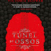 Resenha do Livro: Túnel de Ossos- Série Cassidy Blake Livro 2- Victoria Schwab !!!