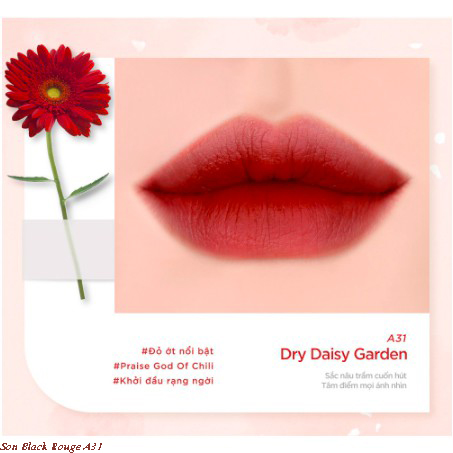 Son Black Rouge A31 Dry Daisy Garden