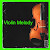 VIOLIN MELODY LOOPS VOL:1