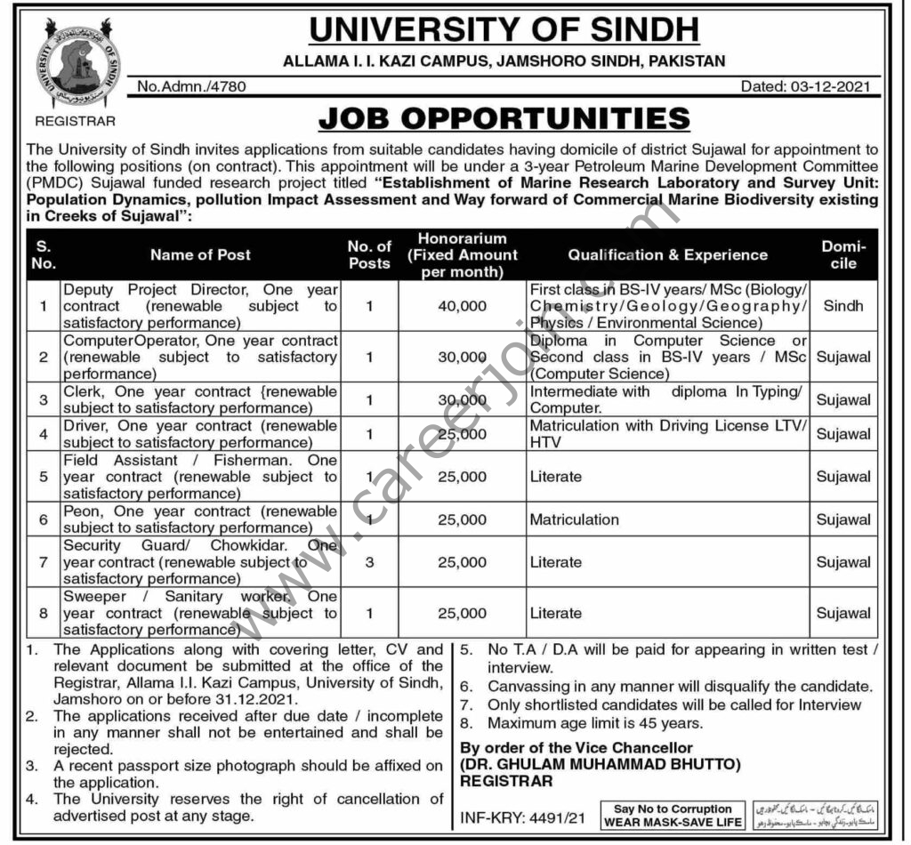 Jobs in University Of Sindh