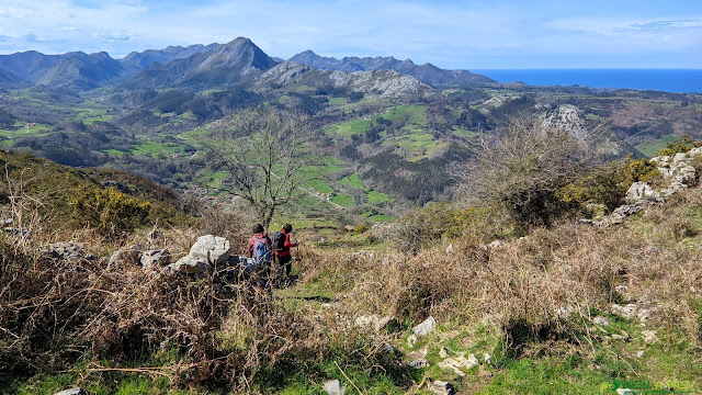 Bajando a Rioseco con el Valle de Ardisana de fondo