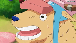 ワンピースアニメ WCI編 791話 | ONE PIECE Episode 791