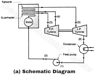 (a) Schematic Diagram