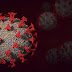 FRANCIA: Hallan nueva variante coronavirus con 46 mutaciones