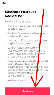 Guida per cancellare profilo TikTok