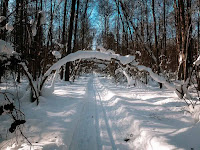 winter frost snow зима снег мороз garden сад tree дерево plant цветок flower растение grow выращивание vegetable огород многолетние fruit seeds grass семена berry growing landscaping трава planting gardening perennial посадка cultivation shrub фрукт ягода куст озеленение многолетник овощеводство садоводство