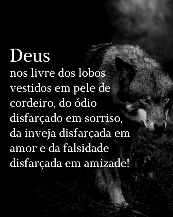 Deus nos livre dos lobos vestidos em pele de cordeiro, do ódio disfarçado em sorriso, da inveja disfarçada em amor e da falsidade disfarçada em amizade!