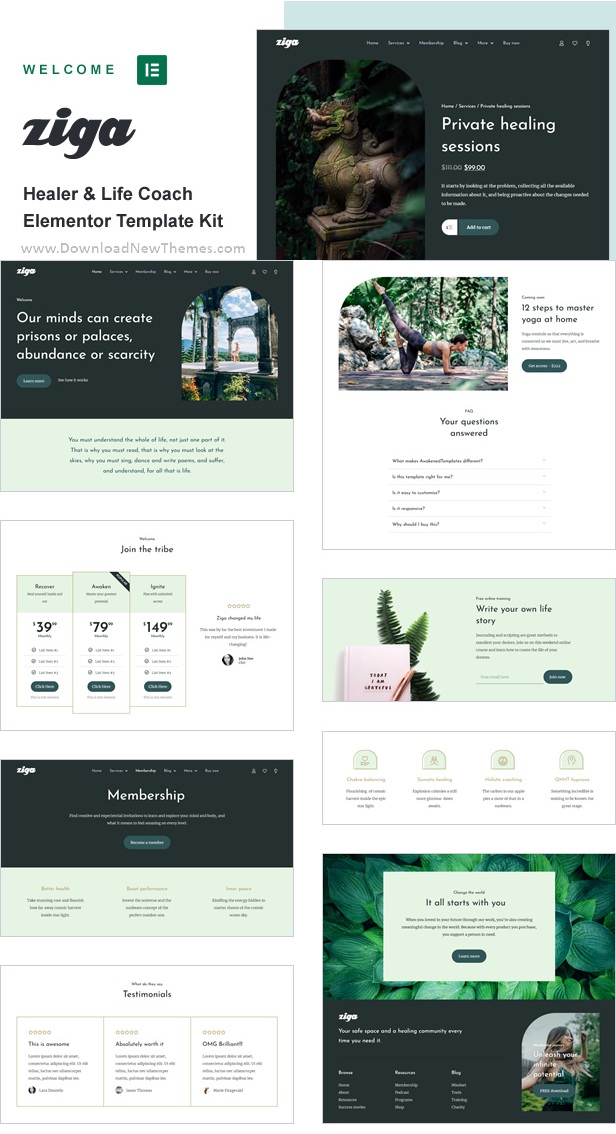 Ziga - Healer & Life Coach Elementor Template Kit