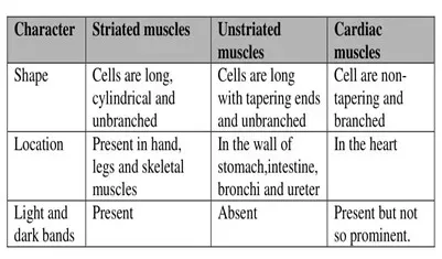 NCERT Solutions of Class 9 Chapter 6 Difference between striated ,unstriated and cardiac muscles