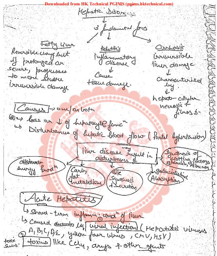 Hepatitis  2nd Semester B.Pharmacy ,BP204T Pathophysiology,BPharmacy,Handwritten Notes,Important Exam Notes,BPharm 2nd Semester,Pathophysiology,Pathophysiology notes,Acute hepatitis,Chronic hepatitis,Viral hepatitis,Acute and chronic hepatitis,