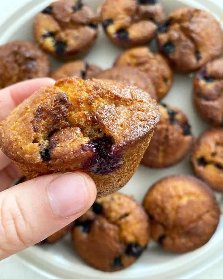 Blueberry muffins cake