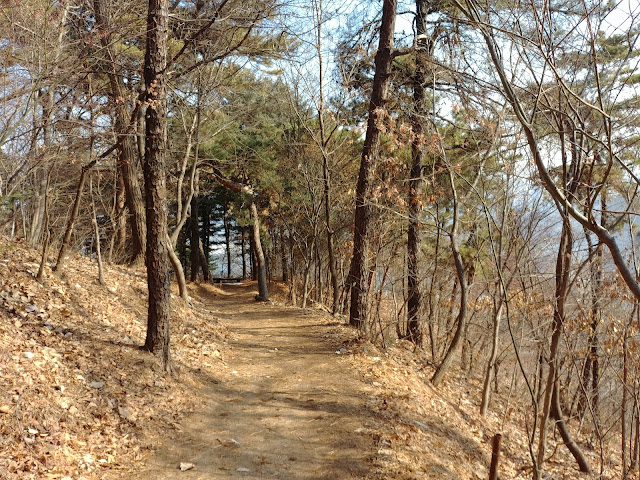 아차산워커힐 포레스트 존