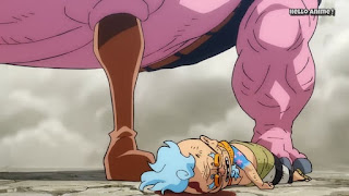 ワンピースアニメ 919話 ワノ国編 | ONE PIECE