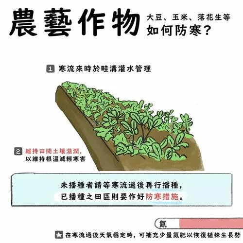 大陸冷氣團來襲 彰縣籲請農民加強農作物防寒害