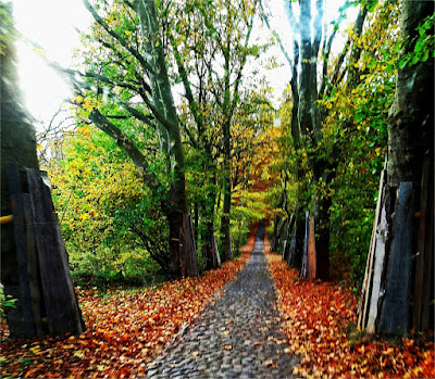 Richtung Stintenburg-Insel