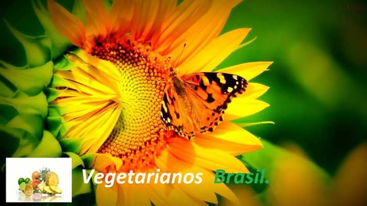 Vegetarianos BRASIL 