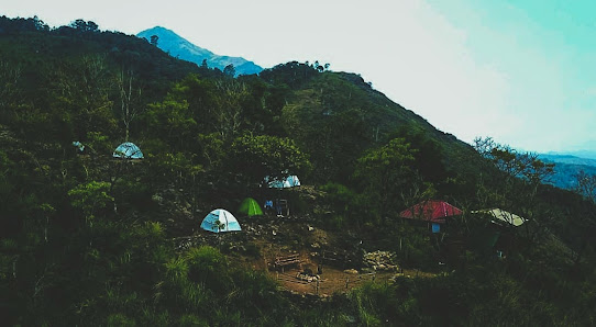 munnar tent camping