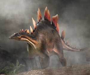 Stegosaurus—Jurassic thyreophoran dinosaur