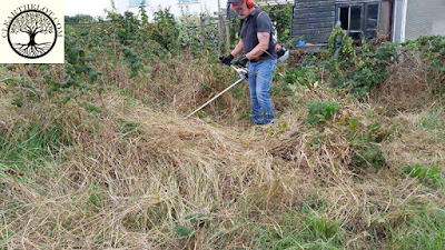 Lawn Maintenance