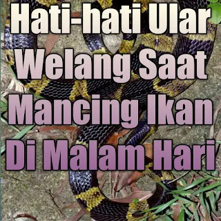 Hati-hati, mancing ikan di malam hari itu berbahaya untuk pemancing. Jadi begini, terkadang ada orang yang hobi mancing hanya mengikuti rasa senangnya, sehingga saat ada teman yang mengajak mancing di malam hari ia ikut dan tidak memikirkan keselamatan untuk dirinya.