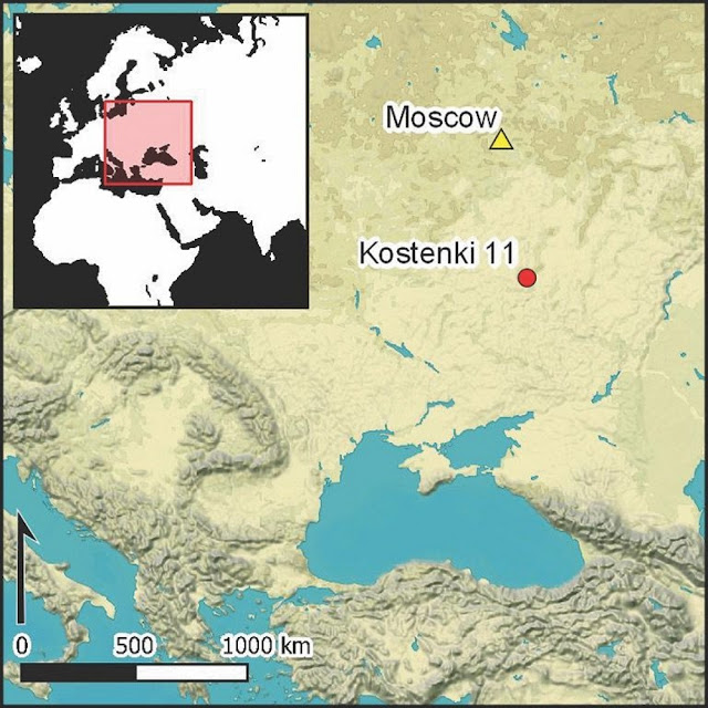 Расположение костной ткани мамонта, найденной на территории современной России