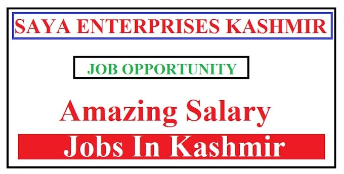 Saya Enterprises Jobs Recruitment 2021 For Various Posts Apply Online