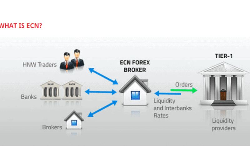 Ưu và nhược điểm của ECN LiteFinance