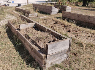Deconstructing more raised beds