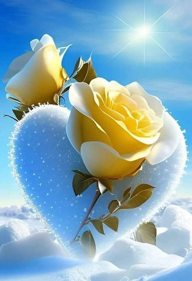 صورة