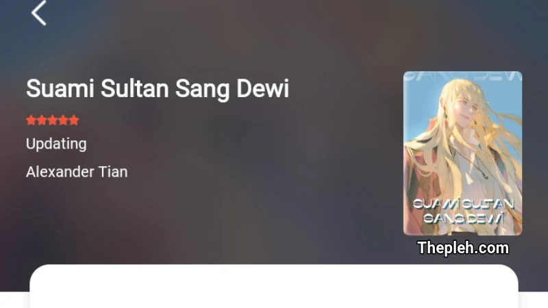 Novel Suami Sultan Sang Dewi