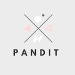  PANDIT &amp; COMPANY Global management consulting | 