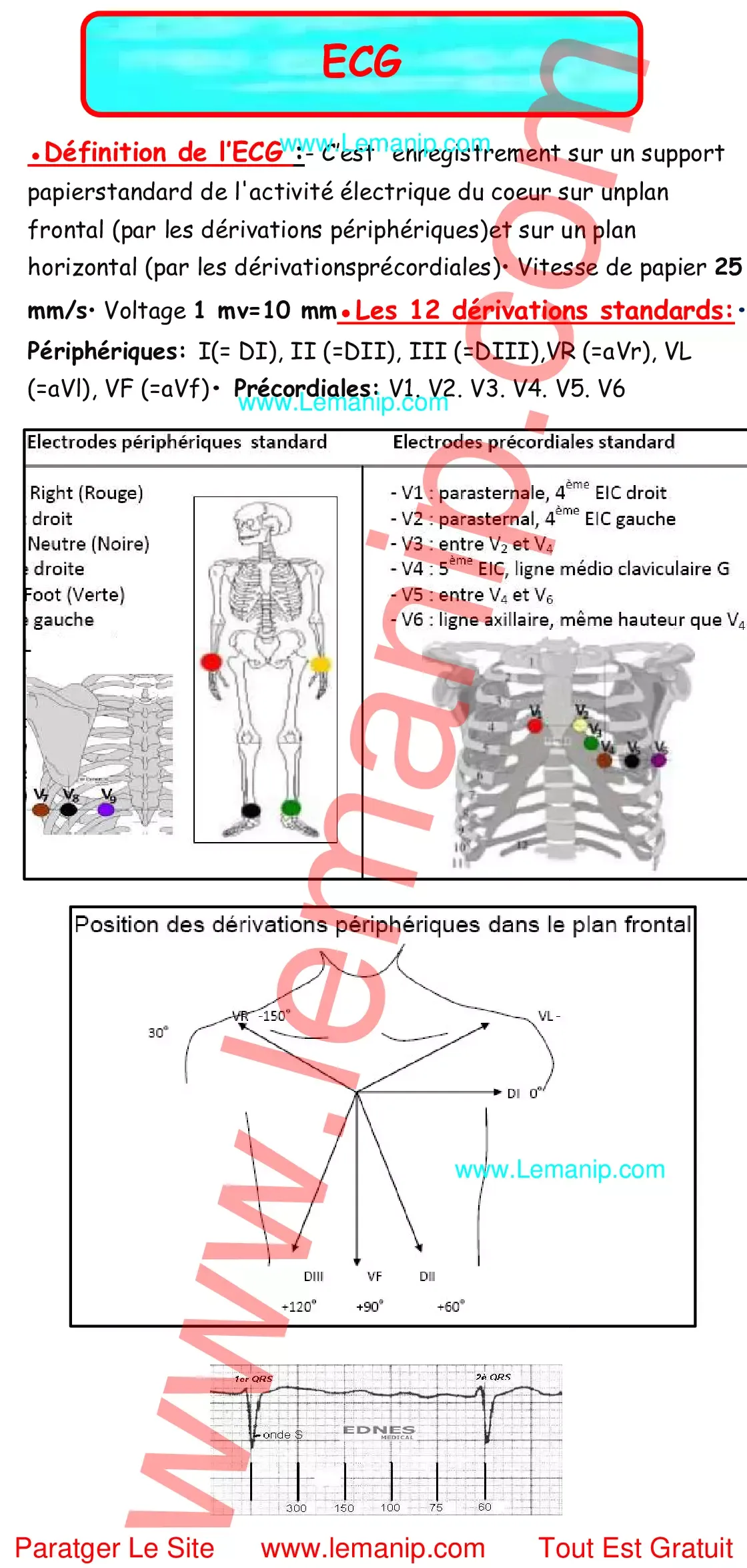 c ecg,électrocardiographes,ecg pour les nuls partie 7,ecg biron,sport ecg,cardiostat vs holter,electrocardiogramme privé,cardiostat 7 jours,hyperkaliémie ecg,holter longue durée,ecg médecine générale,cardiostat,ecg bases,mortara eli,ecg de 24h,électrocardiogramme femme,eolys ecg,holter implantable prix,ecg de repos