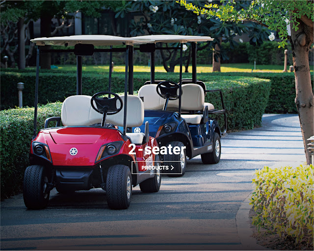 Can You Do Your Own Golf Cart Maintenance?