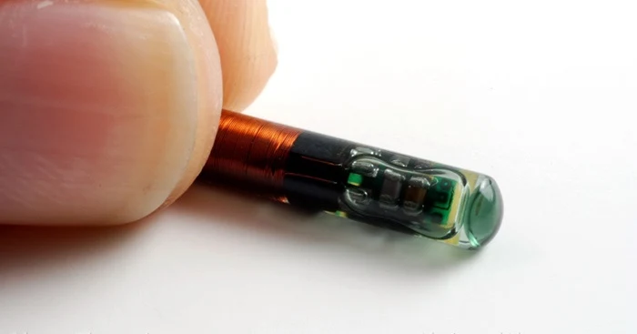 Mark of the Beast is here: Microchip implants that track your vaccination status are now being used in Sweden