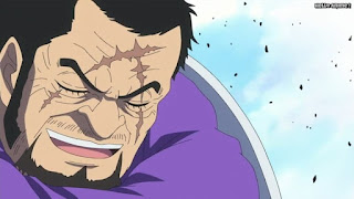 ワンピースアニメ ドレスローザ編 745話 海軍大将 藤虎 イッショウ Fujitora | ONE PIECE Episode 745