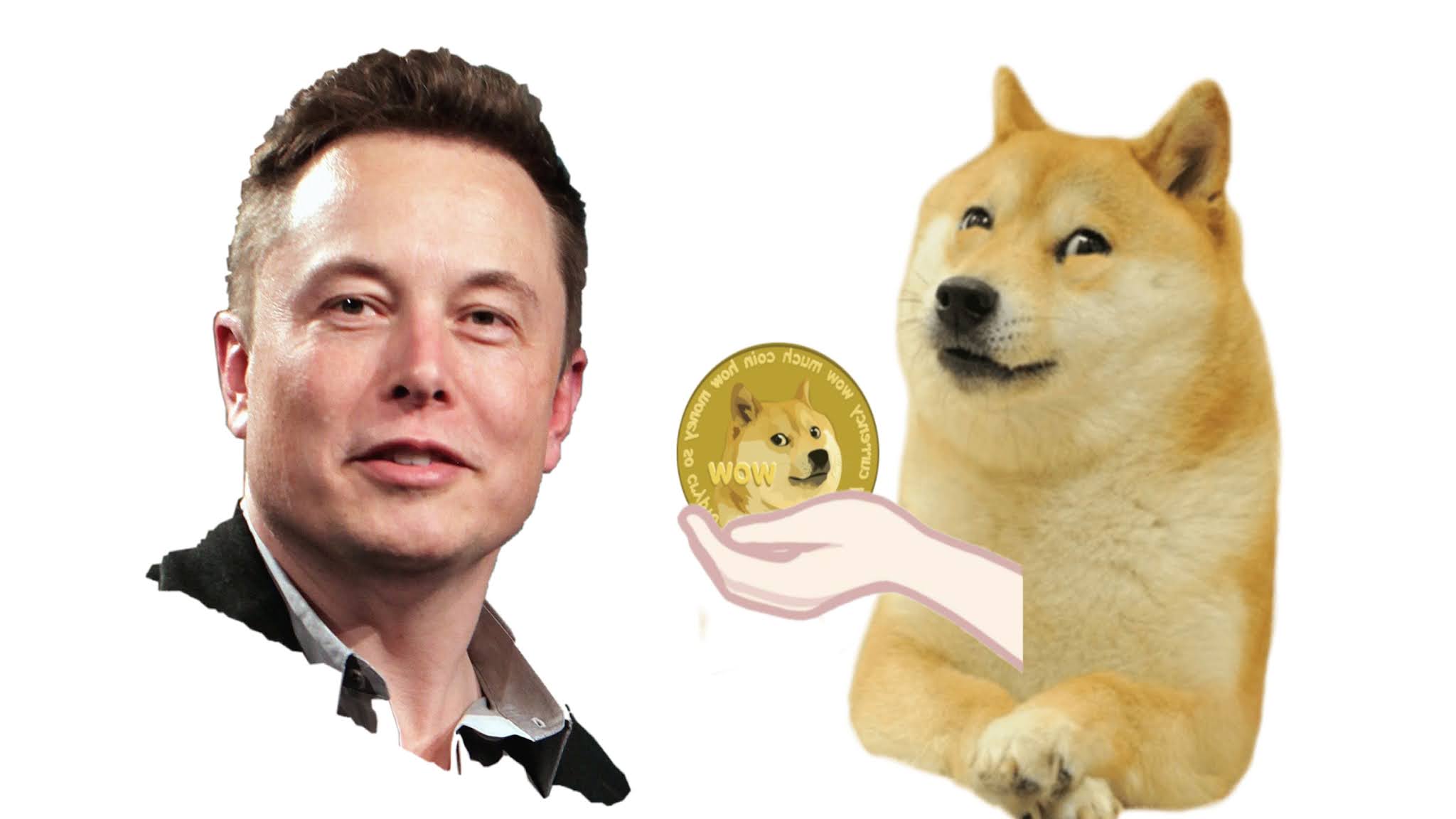 Elon Musk and doge coins
