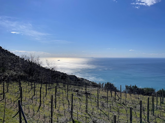 Arcipelago Toscano, Capraia e Gorgona