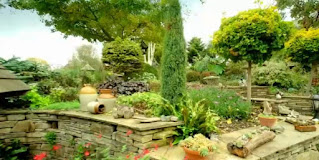 Hampshire garden