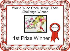 I Won 1st Prize at World Wide Open Design Team