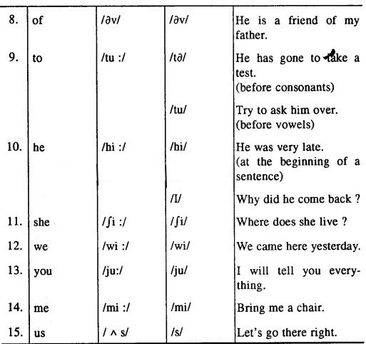 MP Board Class 12th English The Spectrum Workbook Solutions Chapter 13 Forest and River