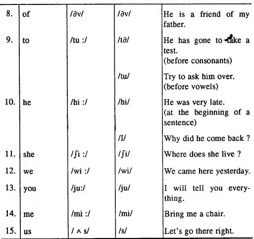 MP Board Class 12th English The Spectrum Workbook Solutions Chapter 13 Forest and River