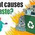 Waste Management Services - Treatment and Disposal
