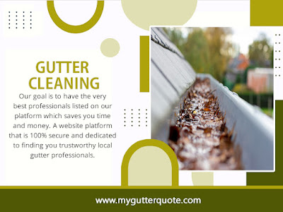 gutter cleaning